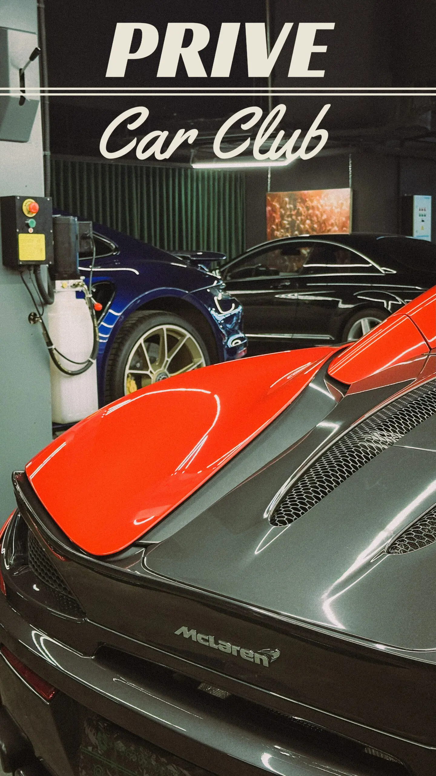 Карбон: фото 4 в Prive Car Club